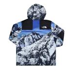 Парки Supreme x The North Face Mountain Parka 'Mountain Print' 2