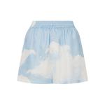 Твиловые шорты Archive Clouds 1