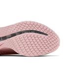 Кроссовки Nike Wmns Pegasus Premium 'Atmosphere' 5