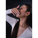 Соленый пари Много-камней кольцо (покрытие 18K золотом) 5