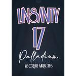 Мужская хлопковая футболка PALLADIUM X JEREMY LIN LINSANITY 6