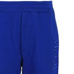 Alexander McQueen Логотип Вышитые Джоггеры 'Galactic Blue' 3