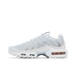 Кроссовки Nike Wmns Air Max Plus 'White Metallic Silver' 3