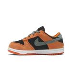 Кроссовки Nike Dunk Low SP TD 'Ceramic' 3