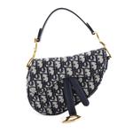 Saddle Handbag Oblique Canvas Mini shoulder bag 1
