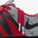 Кроссовки Nike Free Trainer 5.0 V6 'Ohio State Buckeyes' 2
