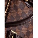 Speedy Handbag Damier 35 satchel 5
