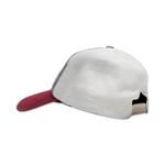 Кепки Pleasures Illegal Snapback 'Multicolor' 2