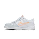 Кроссовки Nike Dunk Low SE GS '3D Swoosh' 3