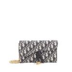 Сумка через плечо Saddle Chain Wallet Oblique Canvas 1