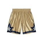 Шорты Orlando Magic 1993 75th Swingman 1