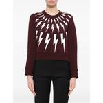 Толстовка Fair Isle Thunderbolt 1