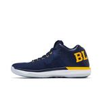 Кроссовки Air Jordan 31 Low 'Michigan' 3
