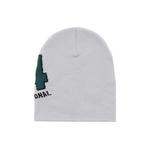 Шапка-бини Stussy 4x4 Skullcap «Grey» 2