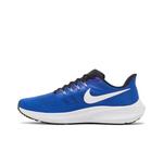 Кроссовки Nike Air Zoom Pegasus 39 'Racer Blue' 3