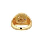 The Artifact Signet Ring – Позолоченное серебро 5