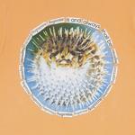 Футболки Supreme Blowfish Tee 'Dusty Light Royal' 3