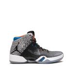 Кроссовки Air Jordan 31 Why Not? 1