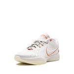 Кроссовки LeBron 21 Akoya 2