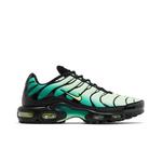 Кроссовки Nike Air Max Plus 'Vapor Green Gradient' 1