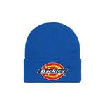Бини Supreme x Dickies Beanie 'Royal' 1