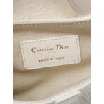 2020 Mini Oblique Embroidered Canvas Saddle Bag satchel 6