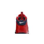 Кроссовки Nike Little Posite Pro GS 'USA' 8