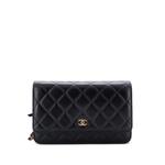 Сумка через плечо Wallet on Chain Quilted Lambskin 1