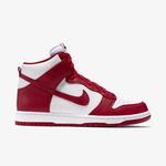 Кроссовки Nike Dunk Retro QS 'Be True' 8