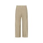 Плиссированные брюки Thicker Bottoms 1 1