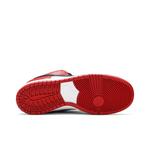 Кроссовки Nike Dunk Low SB 'J-Pack Chicago' 4