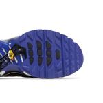 Кроссовки Nike Air Max Plus GS «Персидский фиолетовый» 5