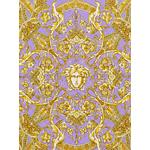 Medusa Barocco silk scarf 2
