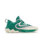Кроссовки Nike Giannis Immortality 3 '5 The Hard Way' 1