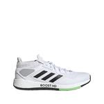 Кроссовки Pulseboost HD Cloud White/Core Black 1