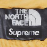 Перчатки Supreme x The North Face Printed Montana Mitt «Желтый» 3