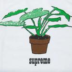 Футболки Supreme Plant T-Shirt 'White' 2
