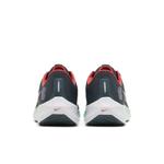 Кроссовки Nike Air Zoom Pegasus 40 'Chicago Marathon' 6