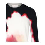 Свитеры Alexander McQueen Solarized Flower-Print Pullover Sweater 'Black/Red/Ivory/Blue' 3