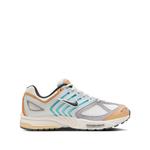 Кроссовки Air Pegasus 2005 1