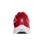 Кроссовки Nike Air Zoom Pegasus 39 Turbo 'University Red' 7