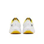 Кроссовки Nike Air Zoom Pegasus 40 'Michigan' 6
