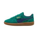 Кроссовки Puma Palermo Big Kid 'Wild Green/Persian Blue' 1