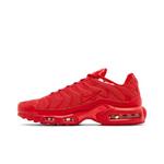 Кроссовки Nike Air Max Plus 'Lava Red' 3
