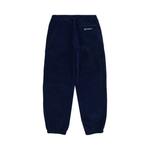 Джоггеры Supreme Polartec Pant 'Navy' 2