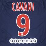 Джерси Pre-Owned Paris Saint-Germain Cavani #9 Home Match Jersey 'Blue/Red' 3