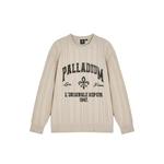 МУЖСКОЙ СВИТЕР С ЛОГОТИПОМ PALLADIUM И РВАНЫМИ ДЕТАЛЯМИ 1