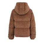 Пуховики Moncler Daos Jacket 'Brown' 2