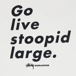 Футболка Stussy Go Live Stoopid Large Tee «White» 3