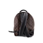 Рюкзак Palm Springs Monogram Canvas MM 2